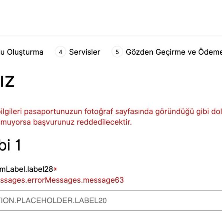 VFS Global Randevu Alımında Sürekli Hata