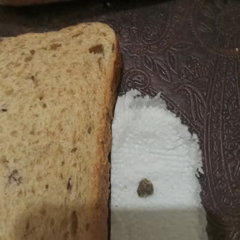 Getir'den Aldığım Ekmeğin İçinden Taş Çıktı
