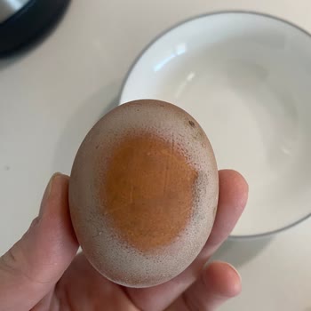 Raya Organik Yumurtalar Güven Vermiyor!