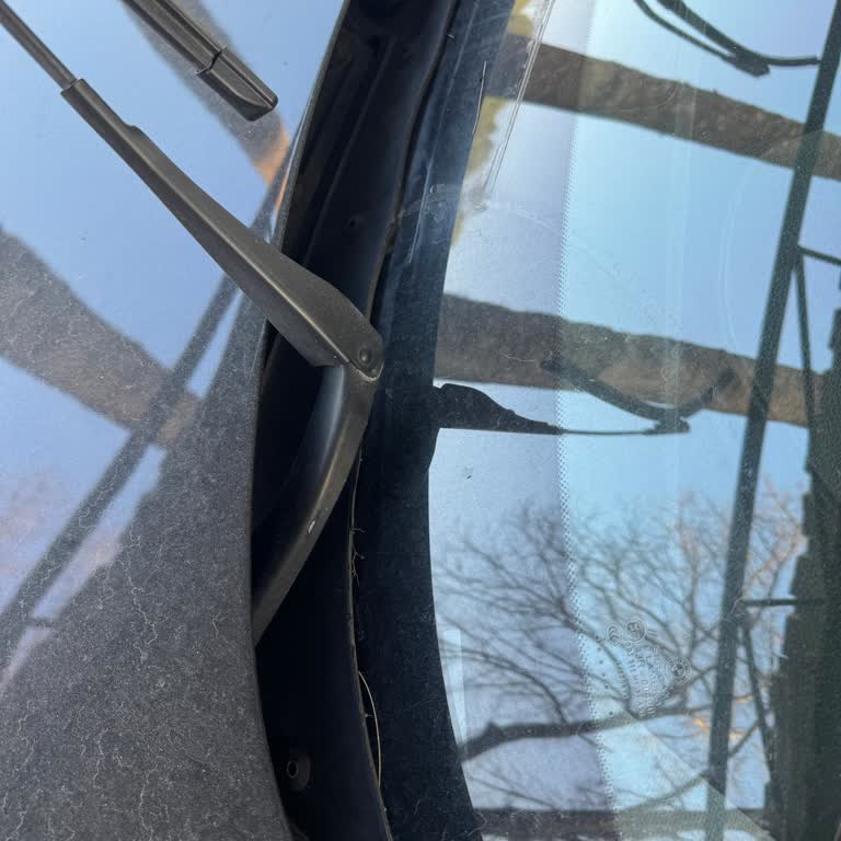 BMW Ön Cam Fitili Sorunu İçin Yardım Bekleniyor