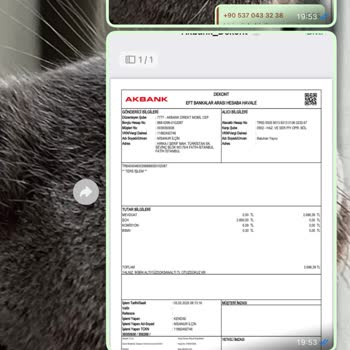 Kayıp Ürün Ve Yanıtsız Kargo Ücreti