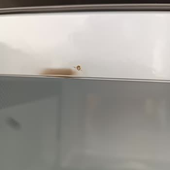 Samsung Mikrodalga Fırınla Yaşanan Güvenlik Sorunu