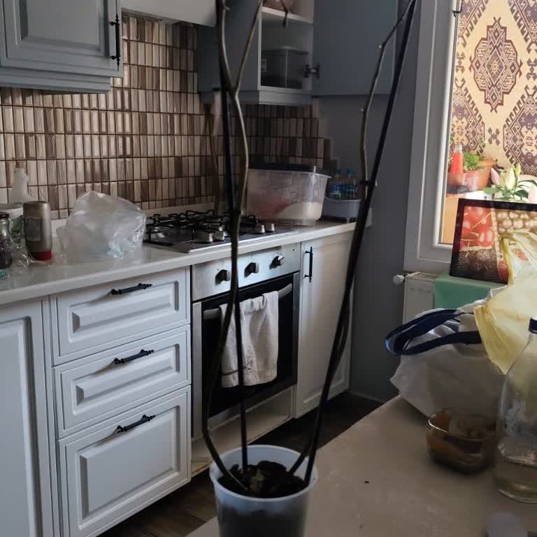 Hayal Kırıklığına Uğratan Orkide: Çiçek Sepeti'nde Müşteri Memnuniyetsizliği