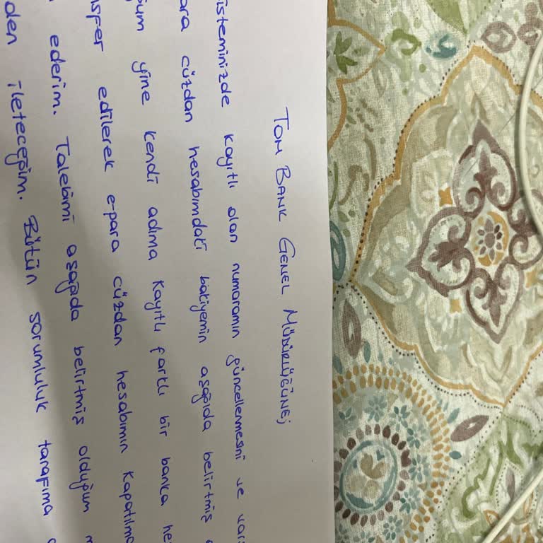 Acil İşe Giriş İçin Hadi Uygulaması Erişim Sorunu