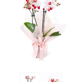 Yanıltıcı Ürün Bilgisi Ve Yetersiz Çözüm