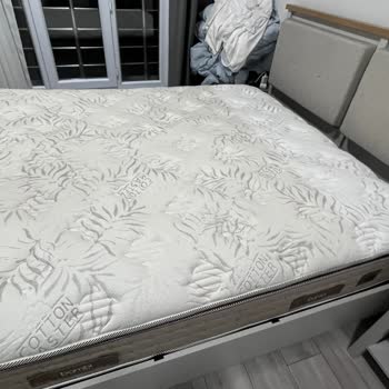 Bambi Yatakta Beklenmedik Sararma Sorunu