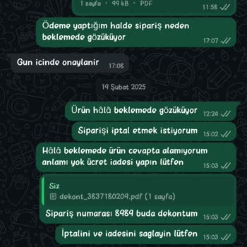 Kedi Maması Siparişim Neden Teslim Edilmiyor?