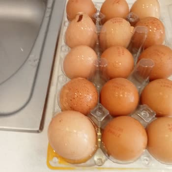 Kırık Yumurtalar Ve Yetersiz Destek: Migros Alışveriş Sorunu