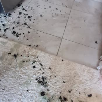 Arçelik Fırın Camı Kendiliğinden Patladı