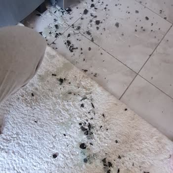 Arçelik Fırın Camı Kendiliğinden Patladı