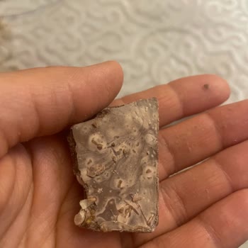 Ülker Çikolata Ürün Kalitesi Hayal Kırıklığı Yarattı