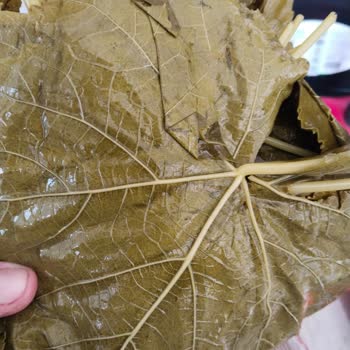 Yanıltıcı Ürün Ve İade Sürecinde Yaşanan Sorunlar