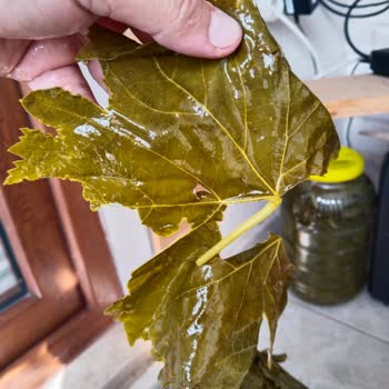 Yanıltıcı Ürün Ve İade Sürecinde Yaşanan Sorunlar