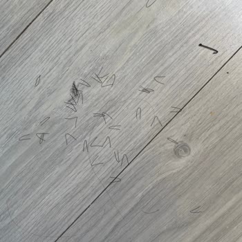 Yeni Alınan Saç Şekillendirici Hızla Bozuldu