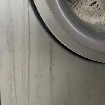 Altus Çamaşır Makinesi Renk Sorunu