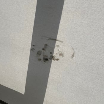 Batıkent Halı Yıkama: Gecikmeli Ve Kalitesiz Hizmet Deneyimi