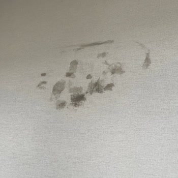 Batıkent Halı Yıkama: Gecikmeli Ve Kalitesiz Hizmet Deneyimi