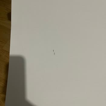 Batıkent Halı Yıkama: Gecikmeli Ve Kalitesiz Hizmet Deneyimi