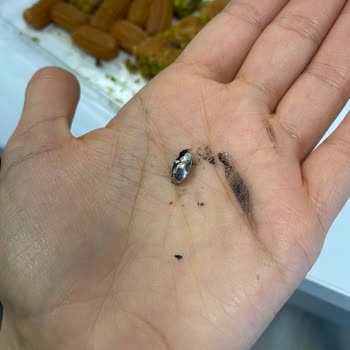 Tatlı Alımında Beklenmedik Sorun ve Çözüm Beklentisi