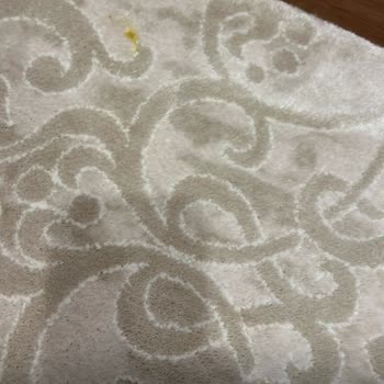 Hijyen Halı Yıkama Hizmetinde Hayal Kırıklığı