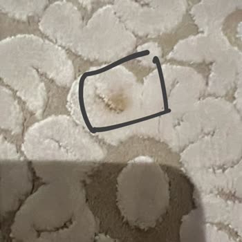 Hijyen Halı Yıkama Hizmetinde Hayal Kırıklığı