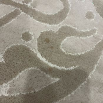 Hijyen Halı Yıkama Hizmetinde Hayal Kırıklığı