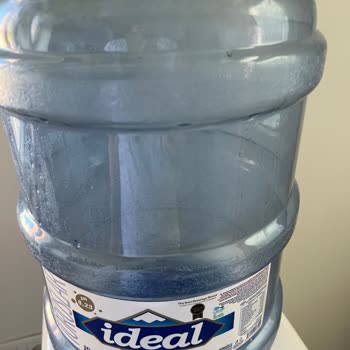 Yosunlanan Damacana Ve Kaba Hizmet