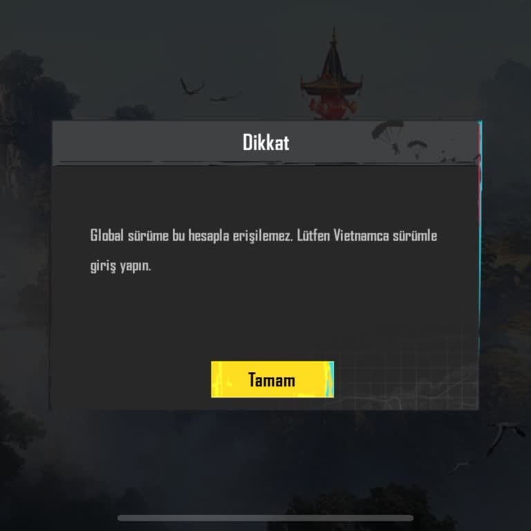 PUBG Hesap Erişim Sorunu