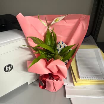 Yanlış Çiçek Ve 5 Gün Gecikme: Taze Çiçek Mağduriyeti