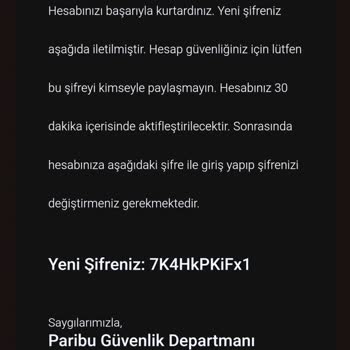 Paribu Altyapı Sorunu Ve Güvenlik Endişesi