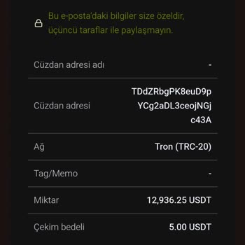 Paribu Altyapı Sorunu Ve Güvenlik Endişesi