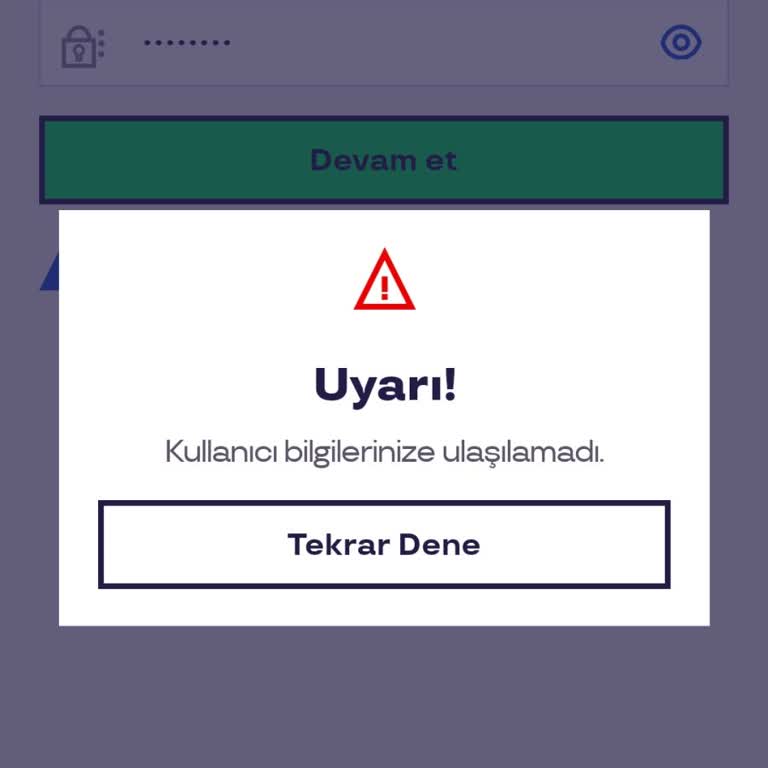 Pluxee Hesabına Erişim Sorunu