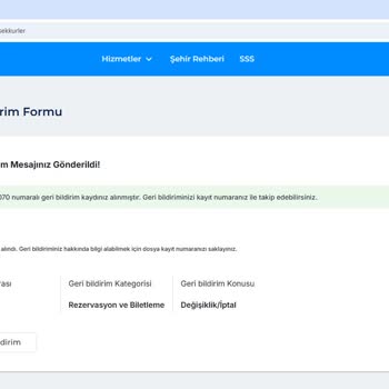 Ajet Firmasında Müşteri Hizmetleri Ve Sistem Sorunları