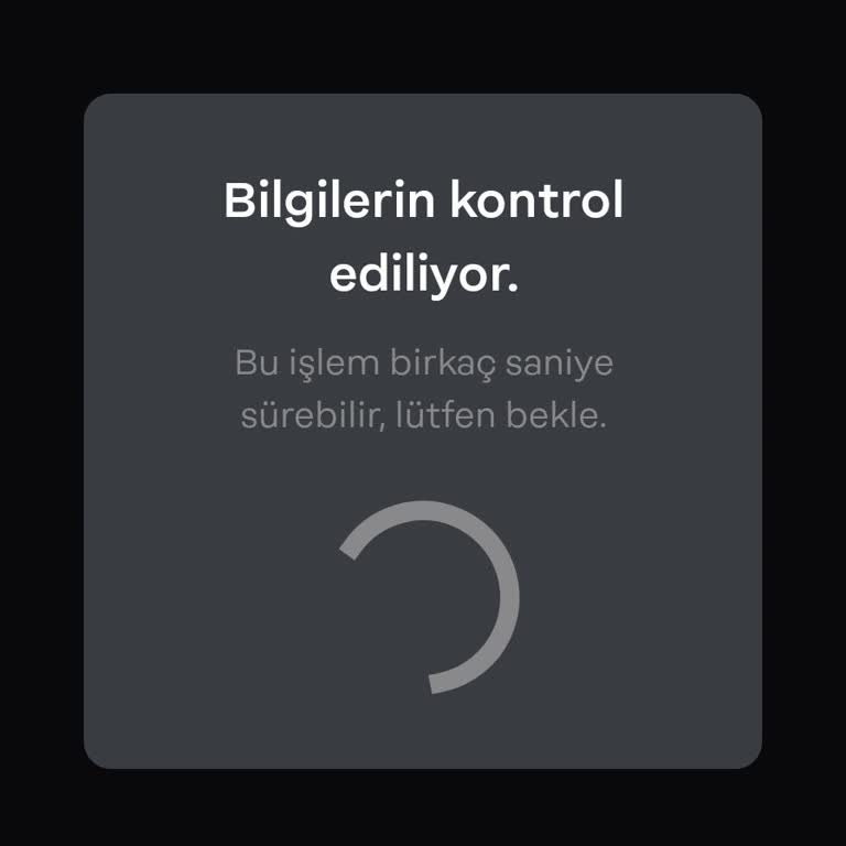 Papara Uygulamasına Giriş Sorunu: Sürekli Dönen Kontrol Ekranı Ve Başarısız Denemeler