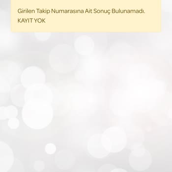 Yanıltıcı Kargo Takip Numarası Ve İletişim Sorunu