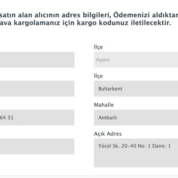 Güvenlik Açığıyla Karşı Karşıya Kaldım