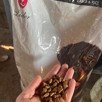 Açık Paketle Gelen Bayat Köpek Maması