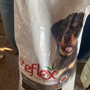 Açık Paketle Gelen Bayat Köpek Maması