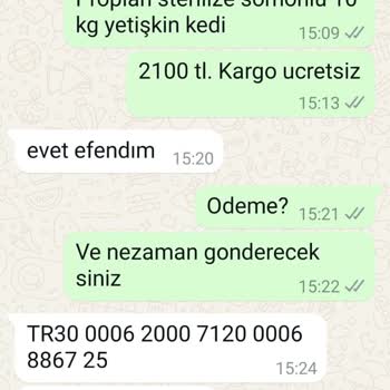 Zoompet'ten Sipariş Verdim, Mama Yok!