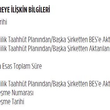 BES Cayma Süresi İçinde İade Sorunu