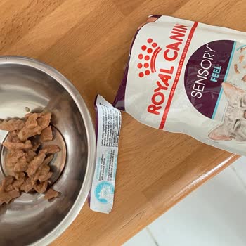 Trendyol Hızlı Market İade Sorunu!