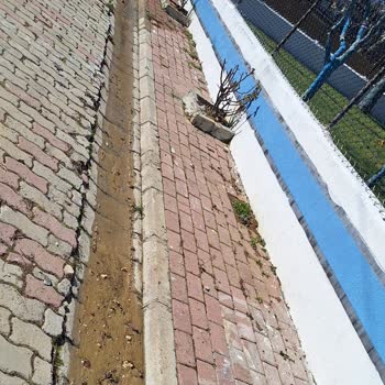 Sigorta Şirketinin Haksız Kararlarıyla Mağduriyet