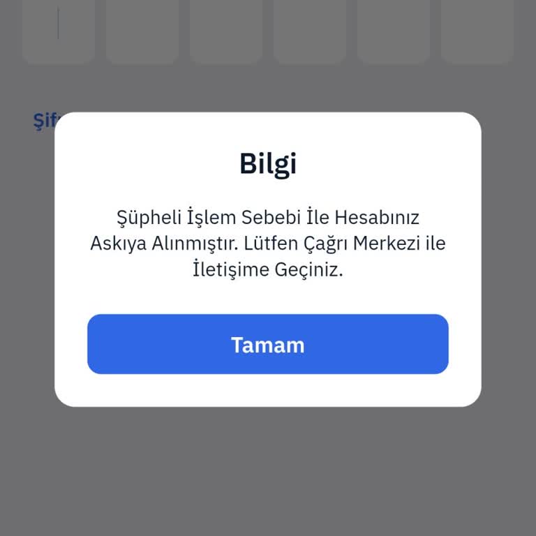 Askıya Alınan MoneyPay Hesabım İçin Acil Çözüm Talebi