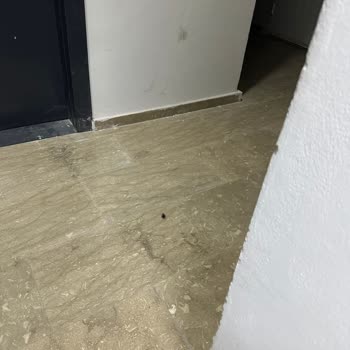 Lüks Vaatleri Karşılamayan Site Yaşantısı