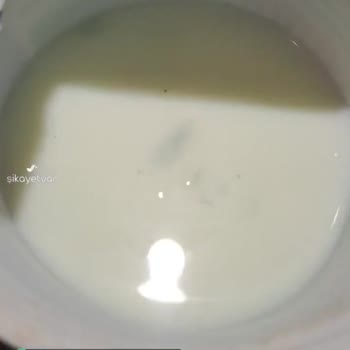 Özgüllü Ayran İçinde Küf