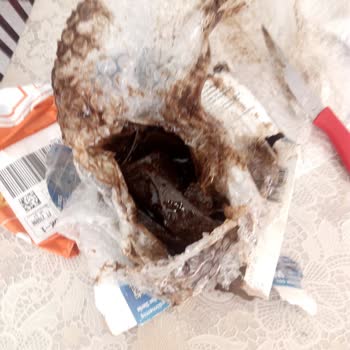 MNG Kargo İle Yaşanan Teslimat Ve Hasar Sorunu