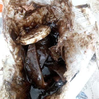 MNG Kargo İle Yaşanan Teslimat Ve Hasar Sorunu