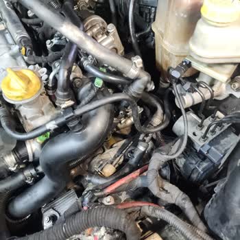 Fermanoğlu Servisi'nin Hayal Kırıklığı