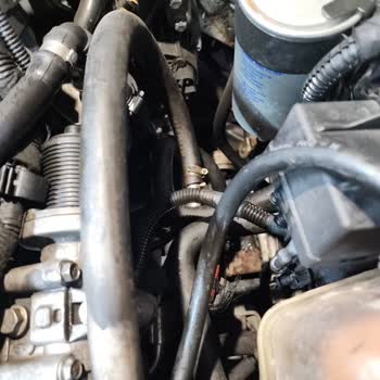 Fermanoğlu Servisi'nin Hayal Kırıklığı