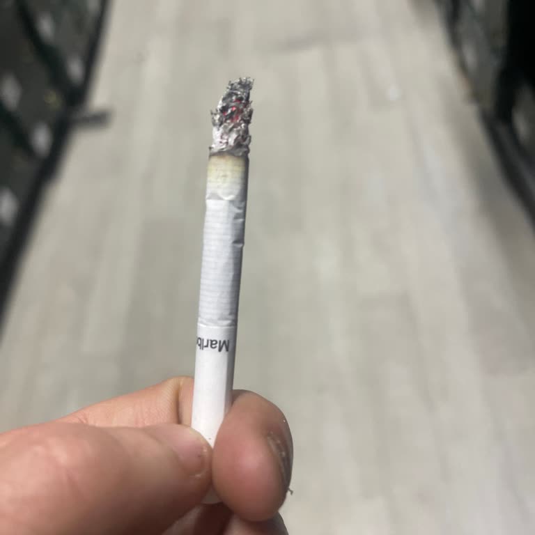 Nemli Ve Küflenmiş Sigara Paketi Şikayeti